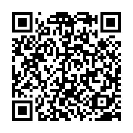 QR code for B12878