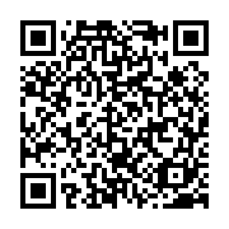 QR code for B17161