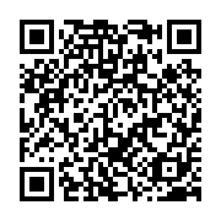 QR code for B17251