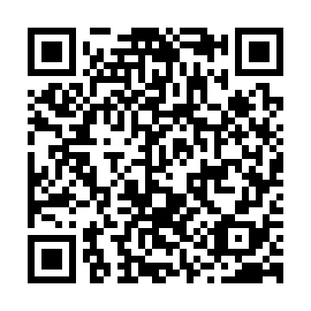 QR code for B17378