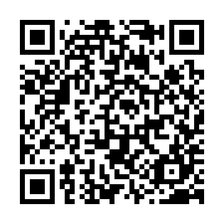 QR code for B17384