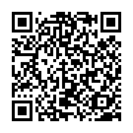 QR code for B17428