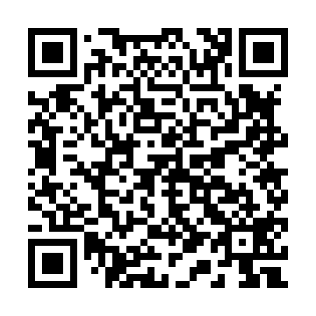 QR code for B17819