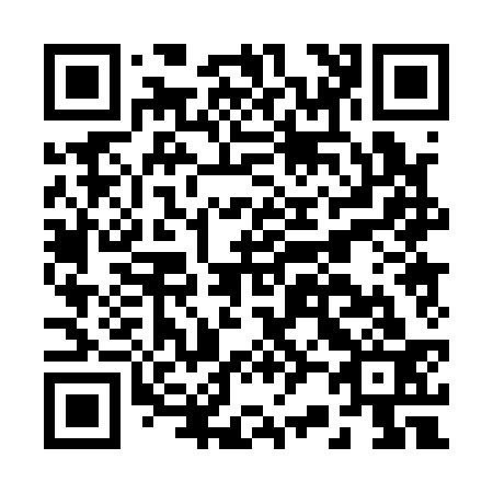 QR code for B20133