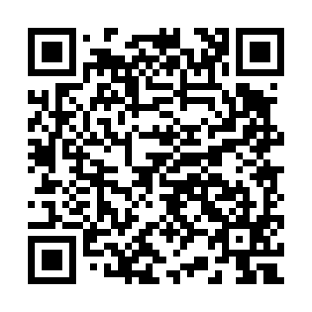QR code for B20495