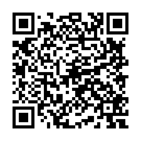 QR code for B28809