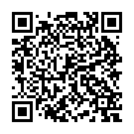 QR code for B29223