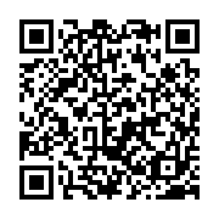 QR code for B29313