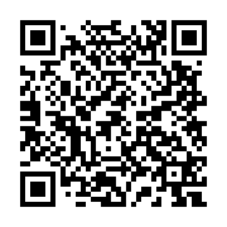 QR code for B32520