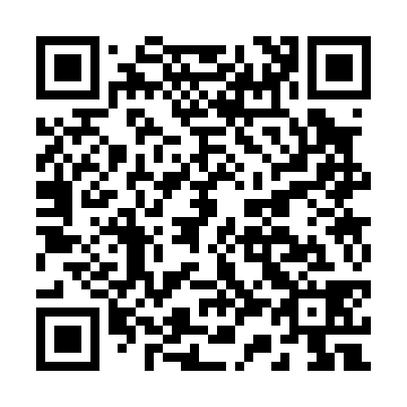 QR code for B33038