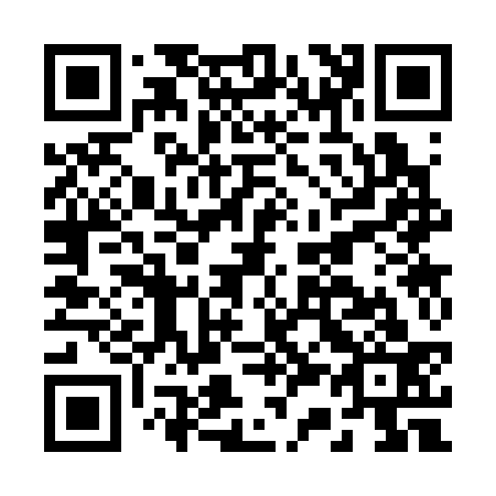 QR code for B33333