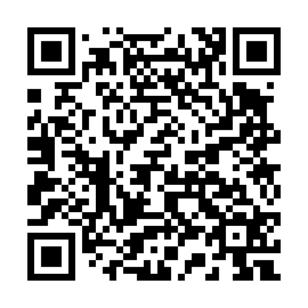QR code for B33424