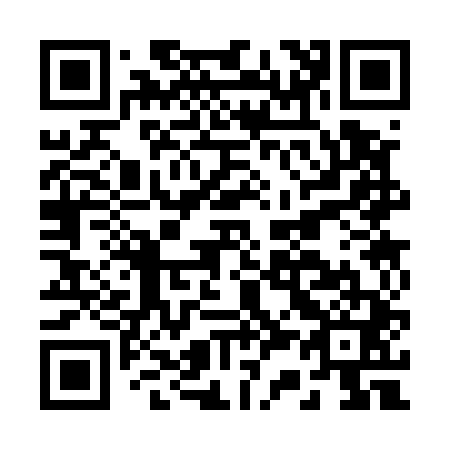 QR code for B33541