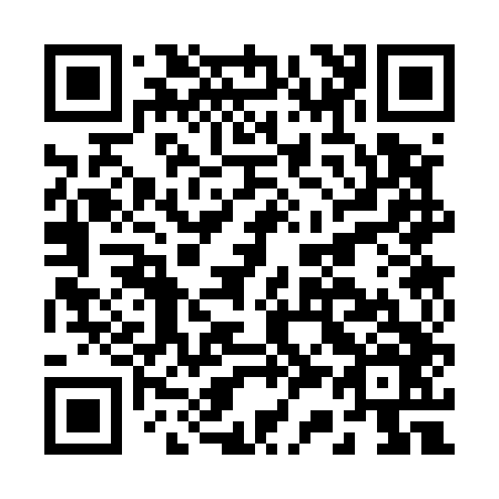 QR code for B33546
