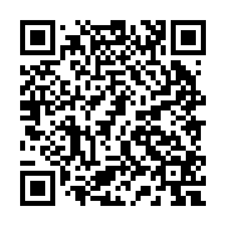 QR code for B38204