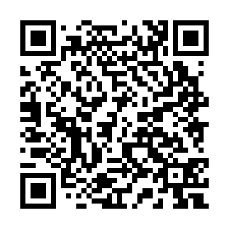 QR code for B38330