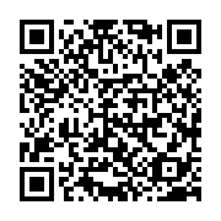 QR code for B38438