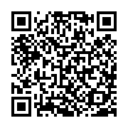QR code for B38489