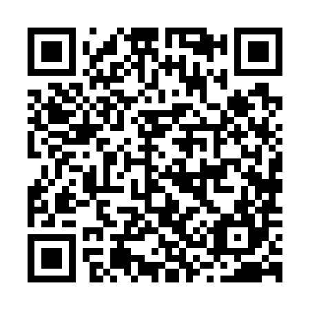 QR code for B38784