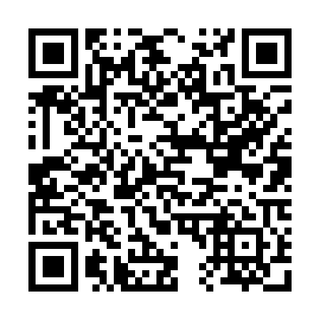 QR code for B46101