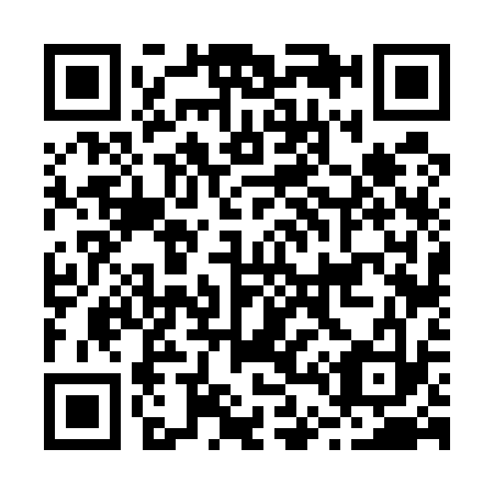 QR code for B46533
