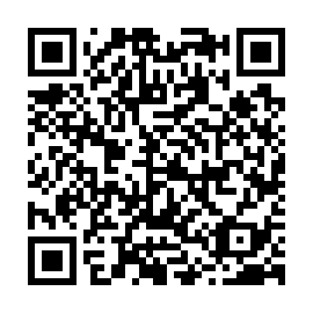 QR code for B46739