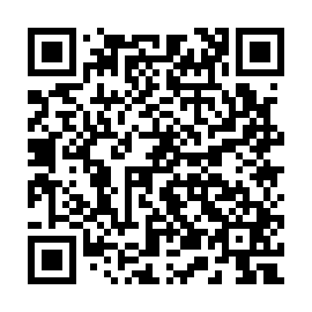 QR code for B51141