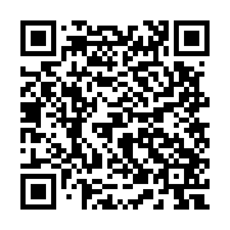QR code for B52543