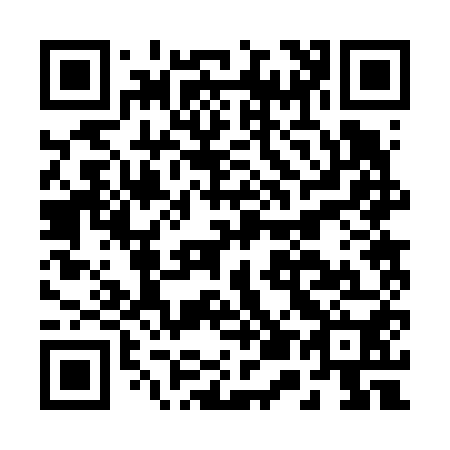 QR code for B52650