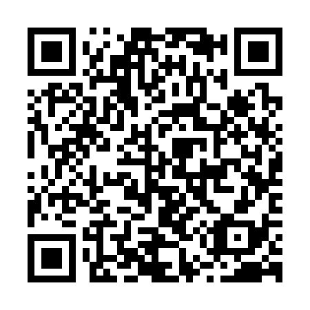 QR code for B53338