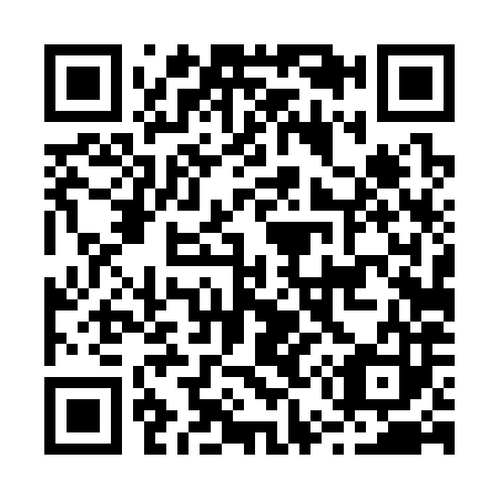 QR code for B54383