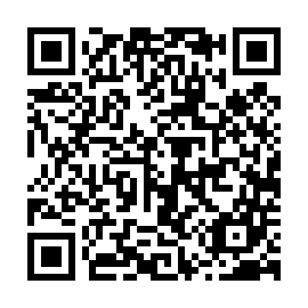 QR code for B54447