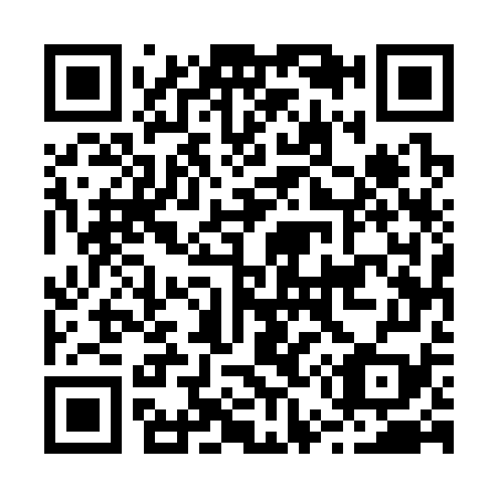 QR code for B55379