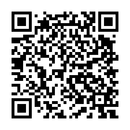 QR code for B55401