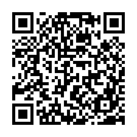 QR code for B63066