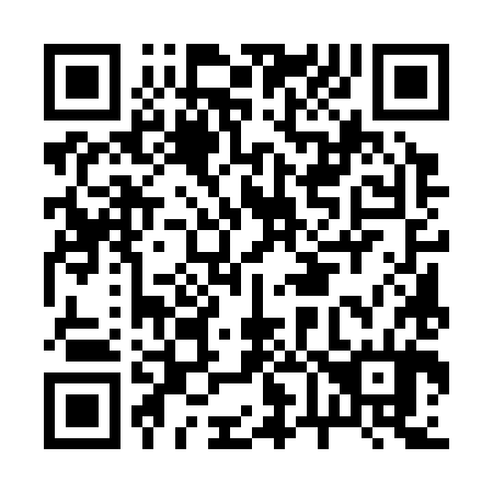 QR code for B65384