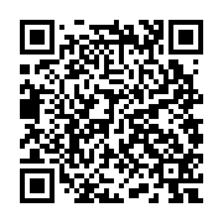 QR code for B66313