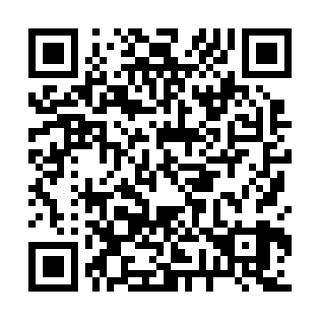 QR code for B78229