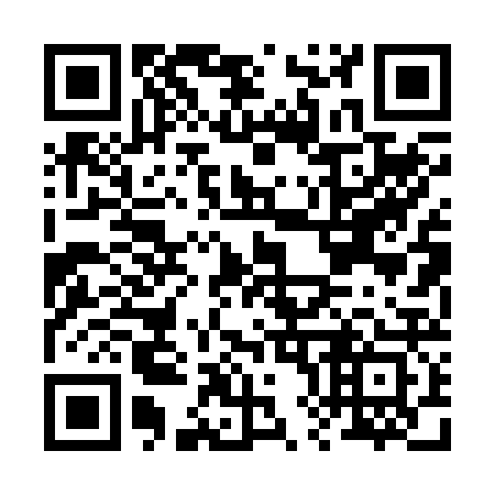 QR code for B80223
