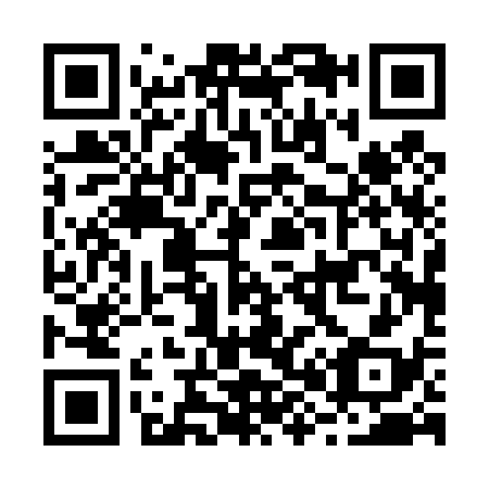 QR code for B80438