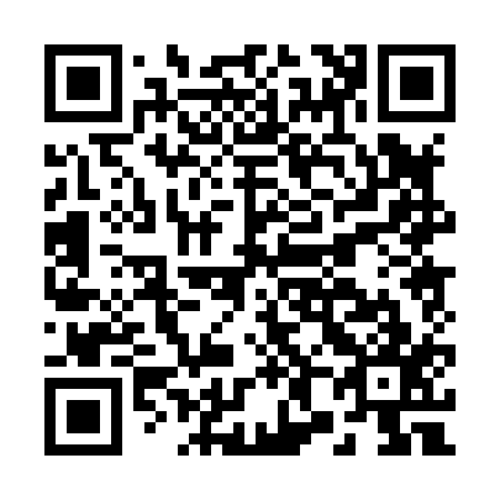 QR code for B80817