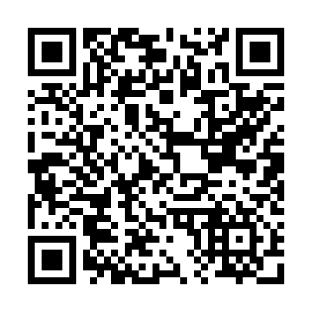 QR code for B81217