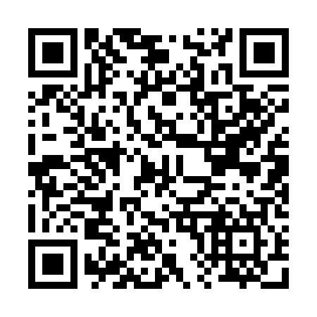 QR code for B81307