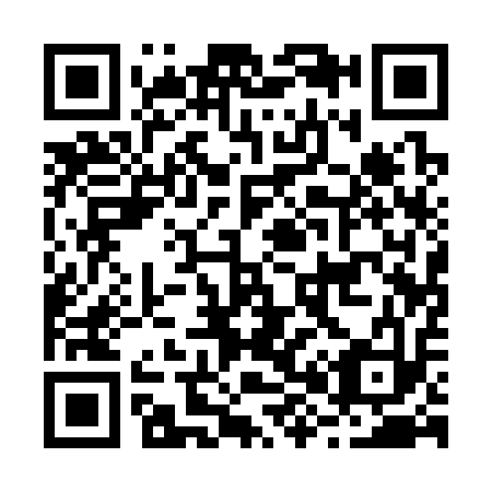 QR code for B81313