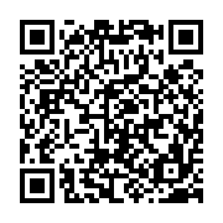 QR code for B81516
