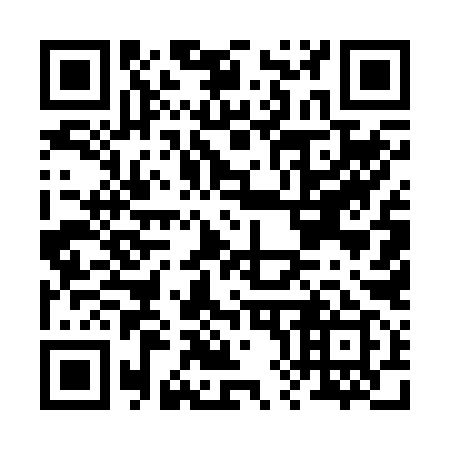 QR code for B85299
