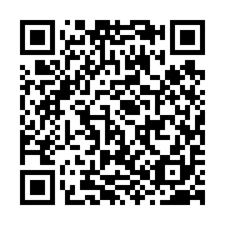 QR code for B85690