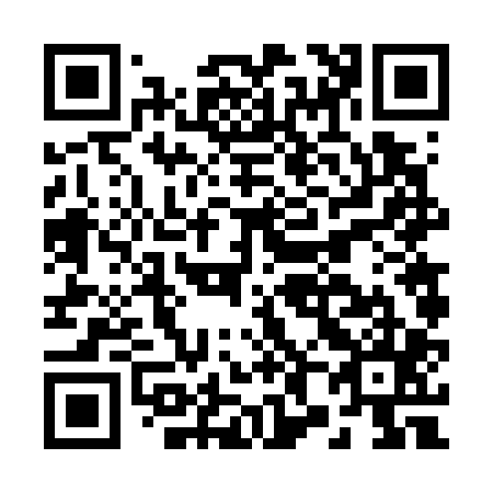 QR code for B86705