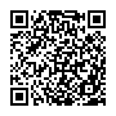 QR code for B91066