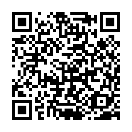 QR code for B91069